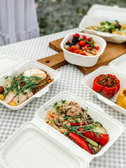 Picnic with healthy meals, fruits and ready food containers outdoors.