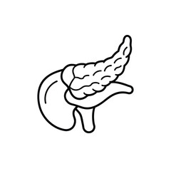 Minimalist Line Drawing of Human Pancreas in Black and White Outline Style