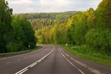 Asphalt country road among lush forests