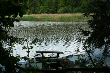 Lush greenery frames a tranquil lakeside view with wooden dock at dawn in a serene natural...