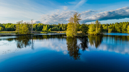 Calm Finnish Lake with Tree Reflections at Summer