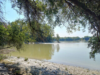 Tranquil waters beneath the shade of overhanging willow branches