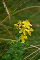 Photos of the landscape I saw on a trip through the mountains of Andorra, some shots of a lake and photos of waterfalls