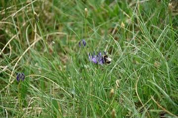 Photos of the landscape I saw on a trip through the mountains of Andorra, some shots of a lake and photos of waterfalls