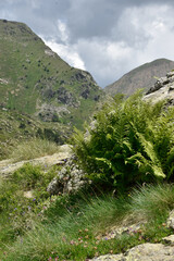 Photos of the landscape I saw on a trip through the mountains of Andorra, some shots of a lake and photos of waterfalls
