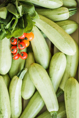 Fresh organic zucchini, raw vegetables for cooking and healthy diet.