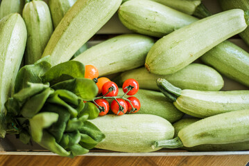 Fresh organic zucchini, raw vegetables for cooking and healthy diet.