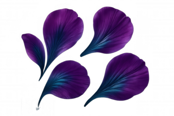 Purple and blue petals are falling gently on a transparent background, creating a delicate and elegant composition