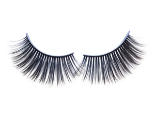 Pair of false eyelashes isolated on transparent background