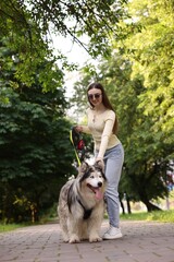 Obraz premium Happy woman with her cute Alaskan malamute dog in park, low angle view