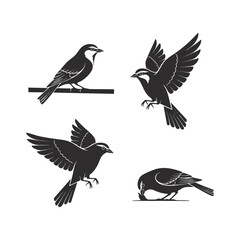Fototapeta premium Silhouettes of birds perched and in flight.