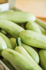 Fresh organic zucchini, raw vegetables for cooking and healthy diet.