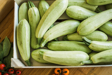 Fresh organic zucchini, raw vegetables for cooking and healthy diet.