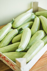 Fresh organic zucchini, raw vegetables for cooking and healthy diet.