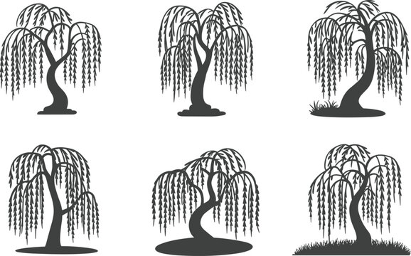 Collection of six unique willow tree silhouettes, perfect for nature illustrations, botanical designs, landscape art, vector graphics, black and white