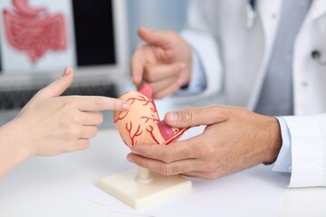 Gastroenterologist with model of stomach consulting woman in clinic, closeup