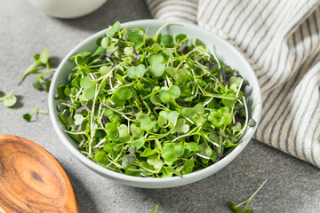 Raw Organic Microgreen Sprouts