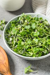 Raw Organic Microgreen Sprouts