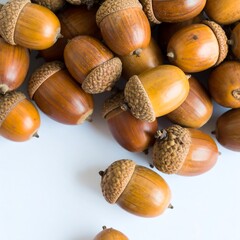 A cluster of acorns
