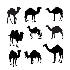 set of silhouettes of animals camel animals sets. 