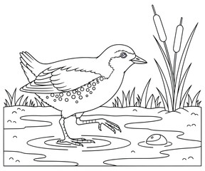 Cartoon marsh bird wading in water near cattail plants, black and white line art illustration for coloring page