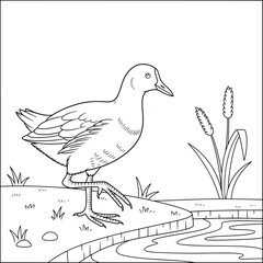 Moorhen at the Water's Edge with Reeds — Simple Cartoon Bird Coloring Page for Kids