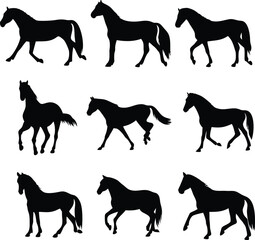 Silhouetted Horses Depicting Equine Movement and Beauty in Various Poses and Gaits Evoking Elegance and Strength