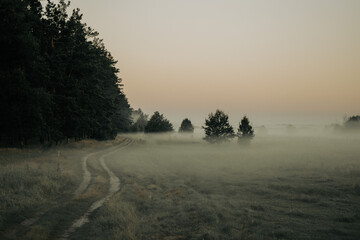 sunrise in the morning