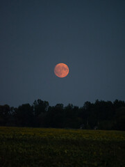 hot air balloon at night