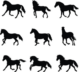 Dynamic Equine Silhouettes A Collection of Energetic Horses in Motion Portraying the Beauty and Power of These Majestic Creatures