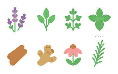 Herb Collection Icons. Flat vector mini-illustrations witchcraft herb collection in colors children's