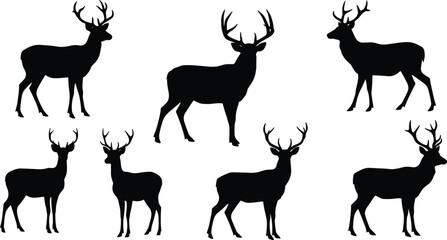 Set of deer stag silhouettes with antlers in various poses, ideal for wildlife, hunting, nature, and forest vector designs
