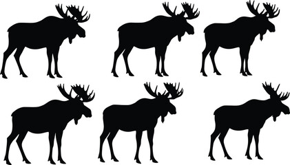 Set of moose animal silhouettes in various poses, vector illustration for wildlife design, hunting themes, forest and nature projects