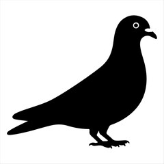 Best Pigeon Icon Animal Design.