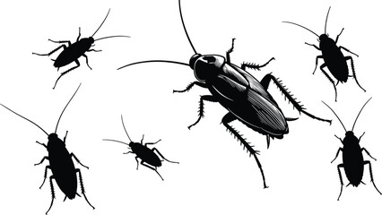 Cockroach silhouette collection, pest insects, household bug infestation, vector illustration, black outline, creepy crawlers, insect control, pest management, realistic roach drawing