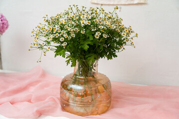 Fresh daisy bouquet in glass vase