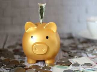 Piggy bank golden and dollar and different coins safe keep money finance photo 