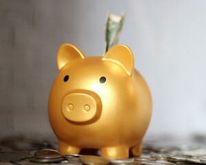 Piggy bank golden and dollar and different coins safe keep money finance photo 