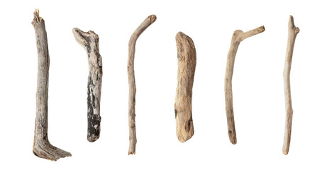 Collection of old dry branches collected on the beach, shaped by sea water, isolated on white background -including clipping path