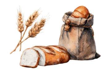 Watercolor illustration of wheat, grains, and breads on a white isolated on a transparent background in PNG format.