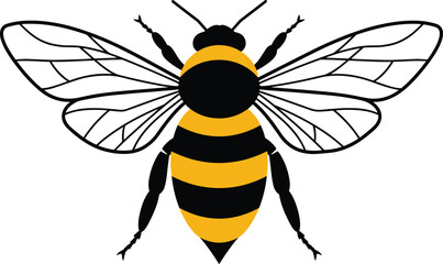 Honey bee insect illustration, black and yellow stripes, flying pollinator vector, detailed wings, isolated on white background