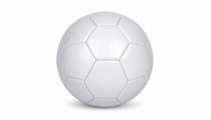 Fototapeta premium classic soccer ball