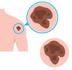 Vibrant and versatile vector design featuring a spectrum of colors and classic typography