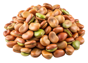 Fava beans (broad beans) seeds isolated on white background png