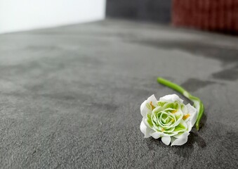 Sekret Flower