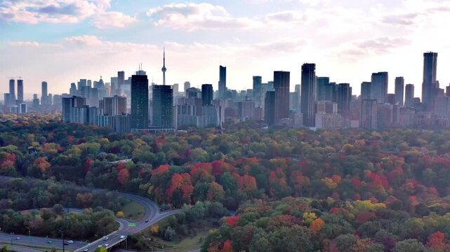 Toronto cityscape with autumn foliage in the foreground on a sunny day