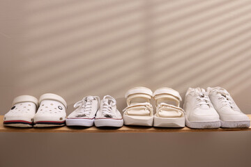 Stylish interior of modern hall with shoes on stand