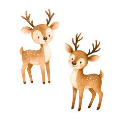 Fototapeta premium Cute watercolor Christmas reindeer duo illustration, festive holiday deer couple clipart