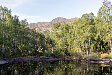 Ben Venue, from the shore of Loch Katrine. Loch Lomond and the Trossachs National Park, Southern Highlands of Scotland.