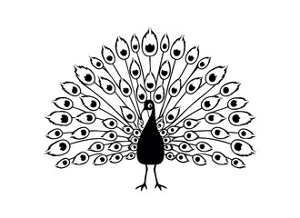 Elegant Peacock Vector Illustration – Black and White Design